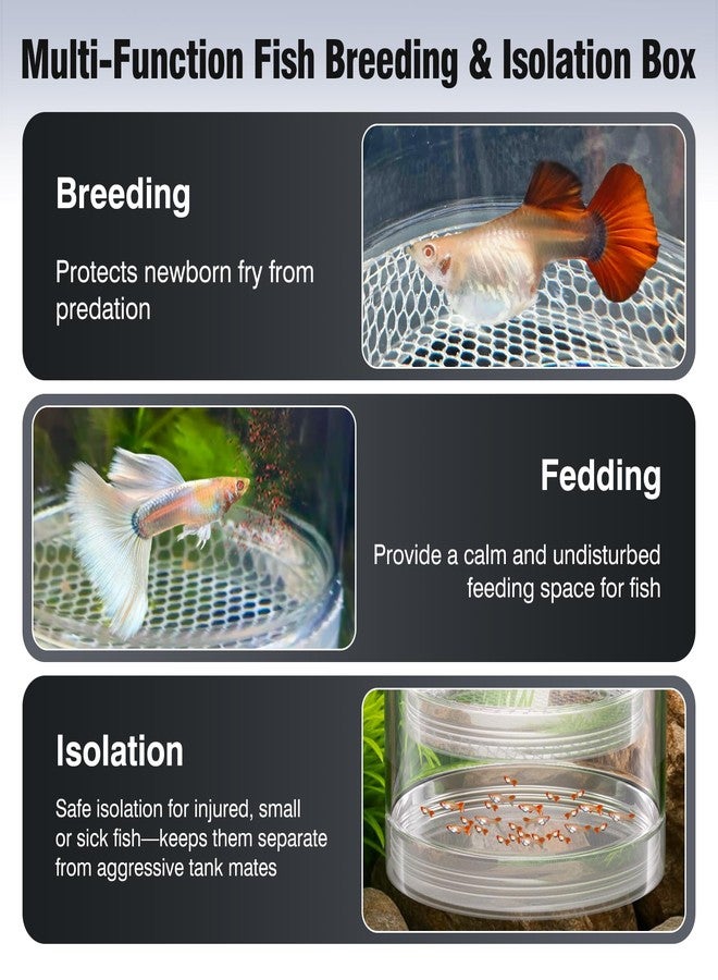 FKSC Floating Breeder Box for Fish Tank - Aquarium Isolation Separator Hatchery Incubator for Guppy, Betta, Clownfish, Coral, Baby & Injured Fish - Image 3